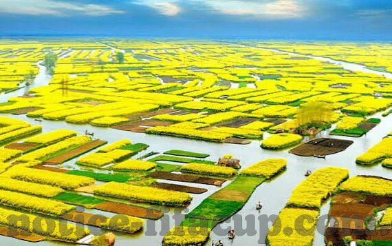 4抢庄牛牛游戏-4抢庄牛牛游戏的魅力与挑战