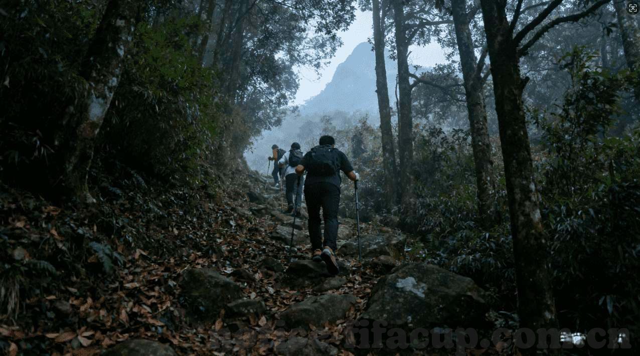网上投注世界杯的软件-网上投注世界杯的软件，便捷与风险并存