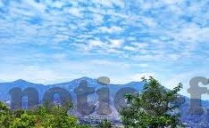 足球直播即时比分-足球直播即时比分，连接全球球迷的实时脉搏